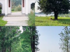 -海珠湖公园