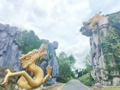 -宜兴龙背山森林公园
