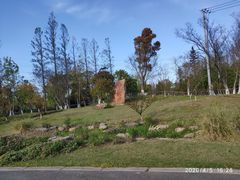 -上海长兴岛郊野公园