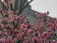 -北京明城墙遗址公园