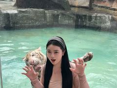 -灵玲国际马戏城
