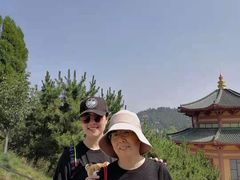 -龙口南山旅游景区