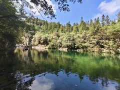 -石台牯牛降景区