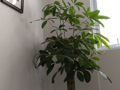 -朝阳区图书馆(小庄店)