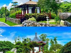 -东莞植物园