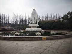 -水杉园