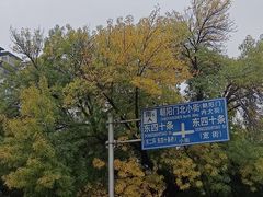 -新侨小馆(东直门北小街店)