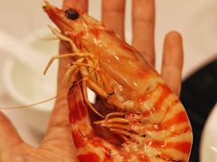 九节虾-金翠皇宫粤菜·点心·海鲜(翡翠店)