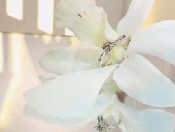 -I Do(重庆龙湖北城天街购物广场店)