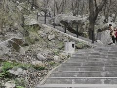 -王顺山国家森林公园