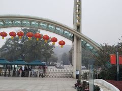 -南山植物园