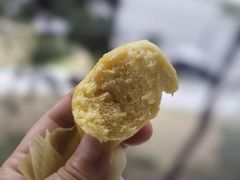 -九锅一堂酸菜鱼(新南凯德直营店)