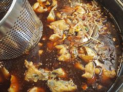 -金海椒罐罐鲢鱼(东方桂苑店)