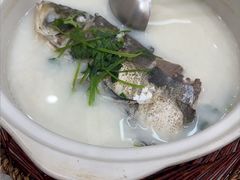 -紫藤园·天目湖大鱼头(南山竹海店)