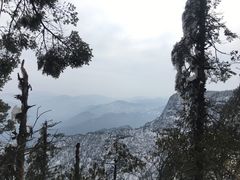 -瓦屋山景区