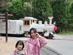 -日照海滨国家森林公园