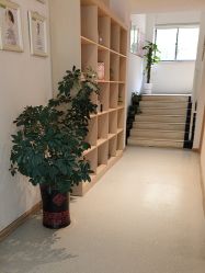-Dr.林醫生产后修复·配方产康店(南京大厂店)