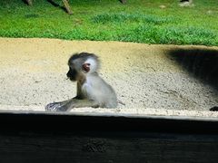 -杭州野生动物世界