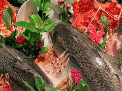 -Mr·Fish鱼鲜生海鲜放题(银泰in99店)