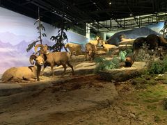 -武汉园博园(武汉自然博物馆)