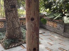 -深圳国际园林花卉博览园