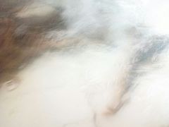 -水库活鱼馆(于桥水库店)