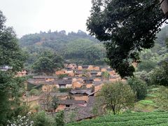 -杨家堂村