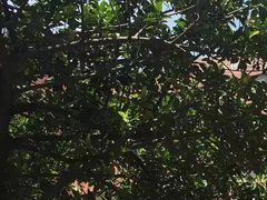 -香港理工大学