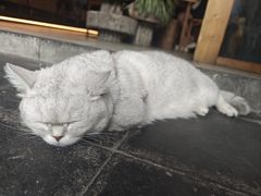 -冰拾叁(新都店)