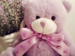 -美俪家族(巴黎都市店)