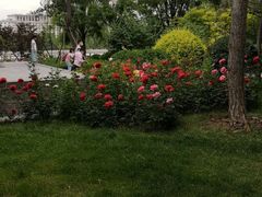 -迎泽公园