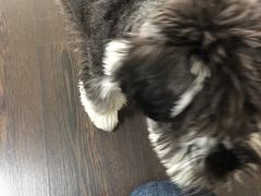 -仰生如卉推拿养生馆(酒仙桥店)
