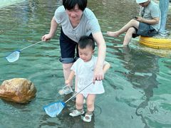 -海上田园