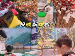 -顺德南宏海立方海洋公园