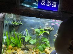 -南昌海洋公园