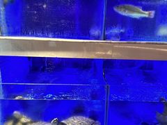 -王捌小院(红花坡店)