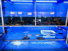 -阿尔法海鲜排档(爱琴海店)