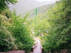 -五台山风景名胜区-罗睺寺