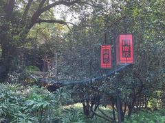 -广州兰圃