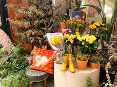 -PlantsEatery·植物食堂(REX春熙店)