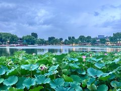 -小王府(什刹海店)