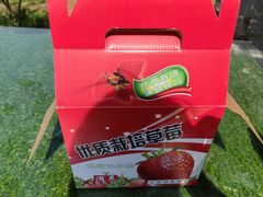 -小鱼草莓采摘园农家乐·小鱼餐厅