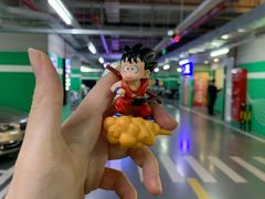 -白玉兰广场停车场