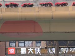 -蜀大侠火锅(总府路店)