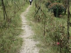 -南北湖风景区