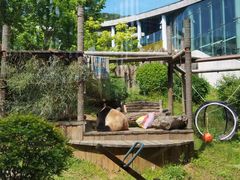 -大连森林动物园