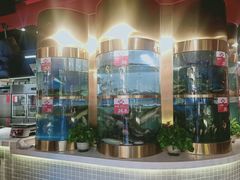 -蜀滋香鲜鱼美蛙火锅(339店)