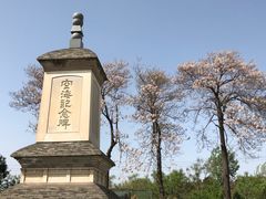 -西安青龙寺遗址景区