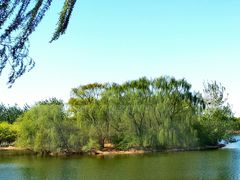 -大兴滨河森林公园