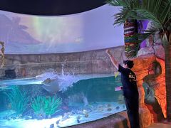 -沈阳海洋探索中心